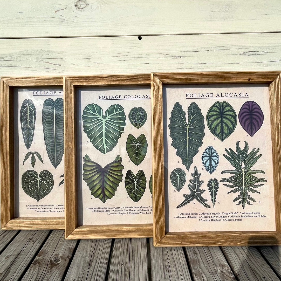 ポスター付きフレーム