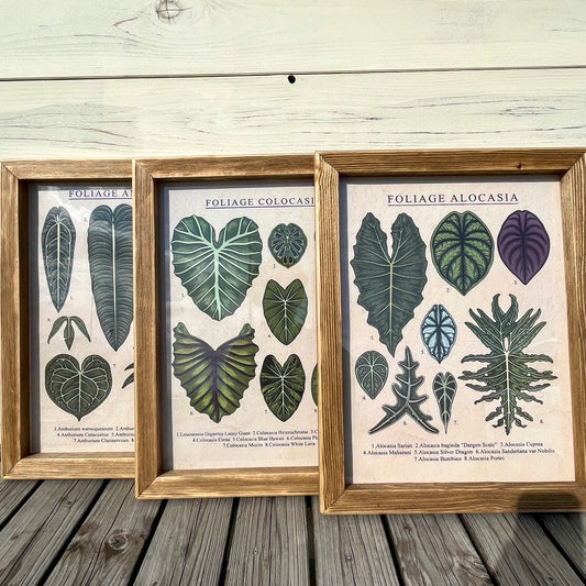 ポスター付きフレーム