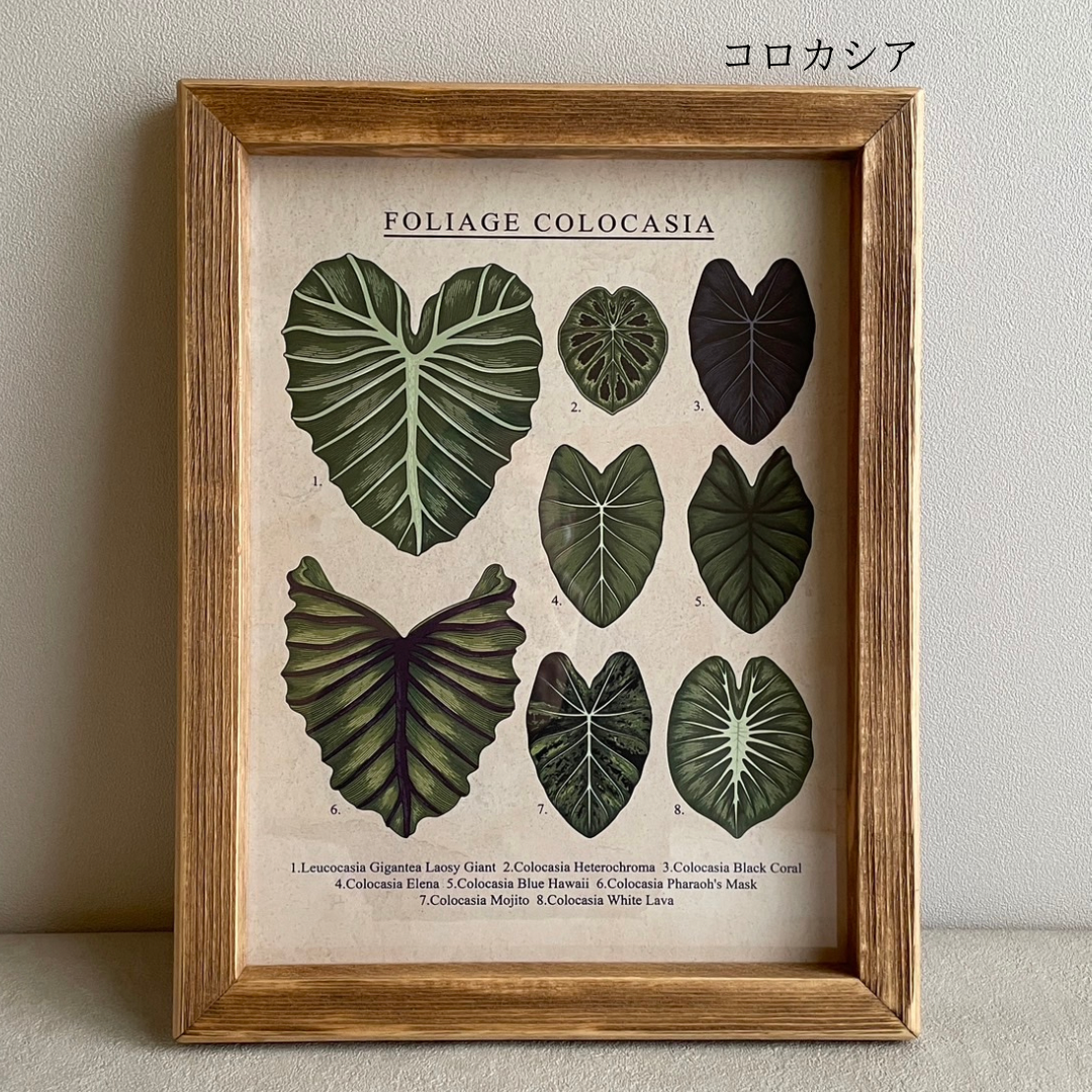 ポスター付きフレーム