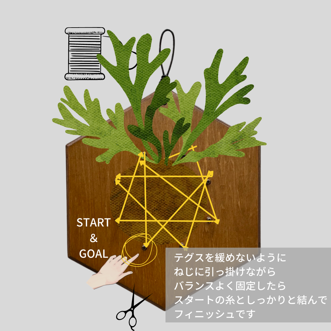 Ita_四角_着生板