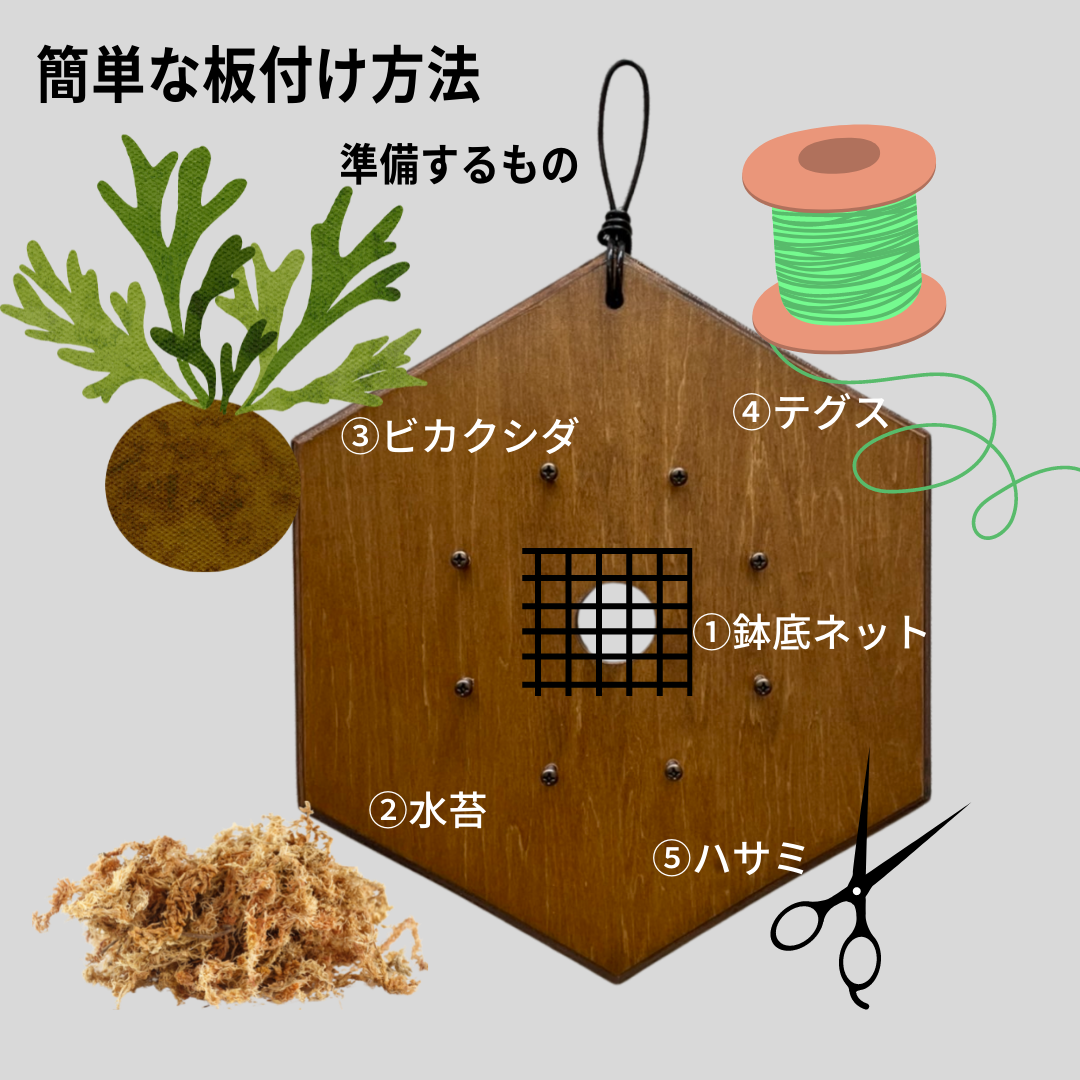 Ita_四角_着生板