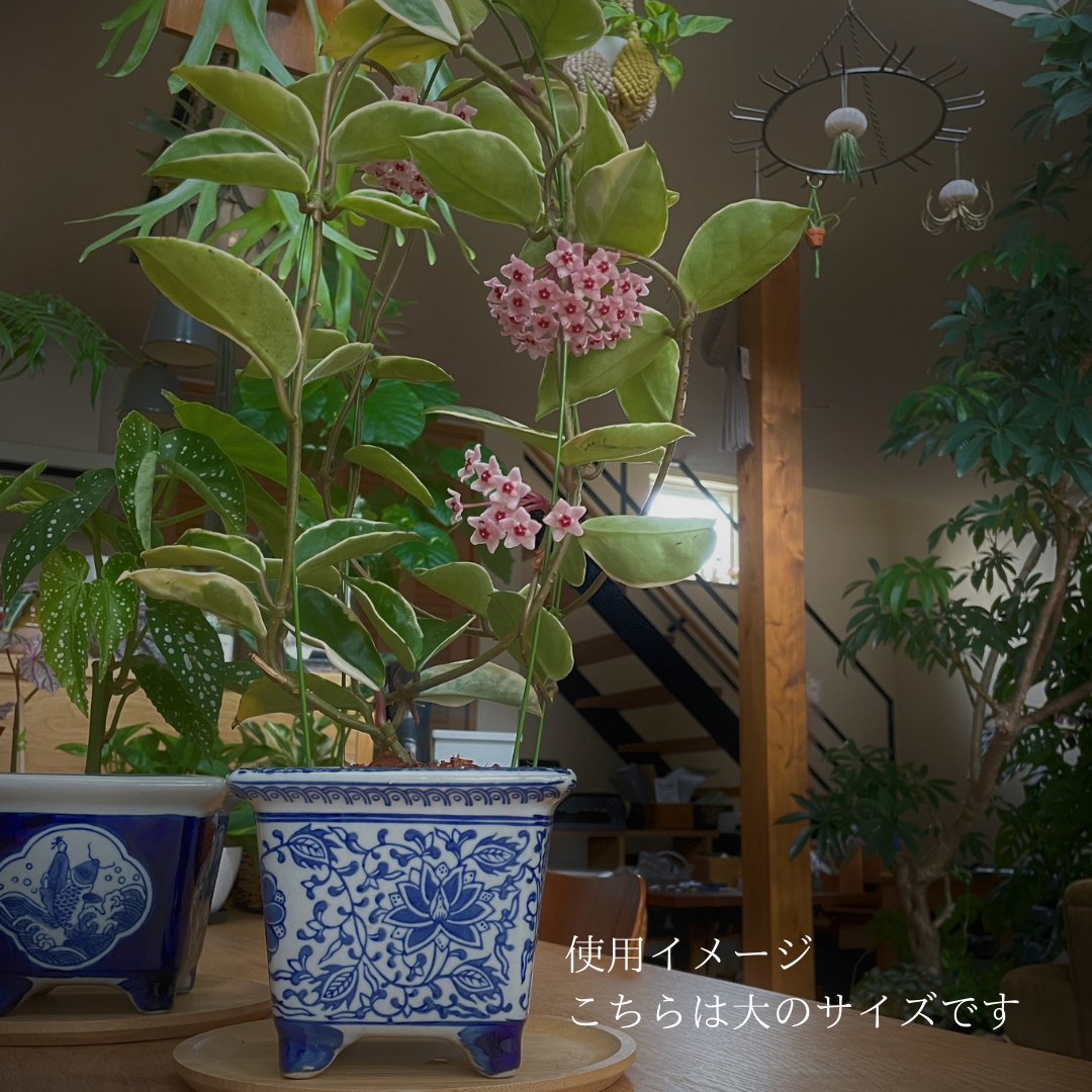 脚付スクエア鉢 S