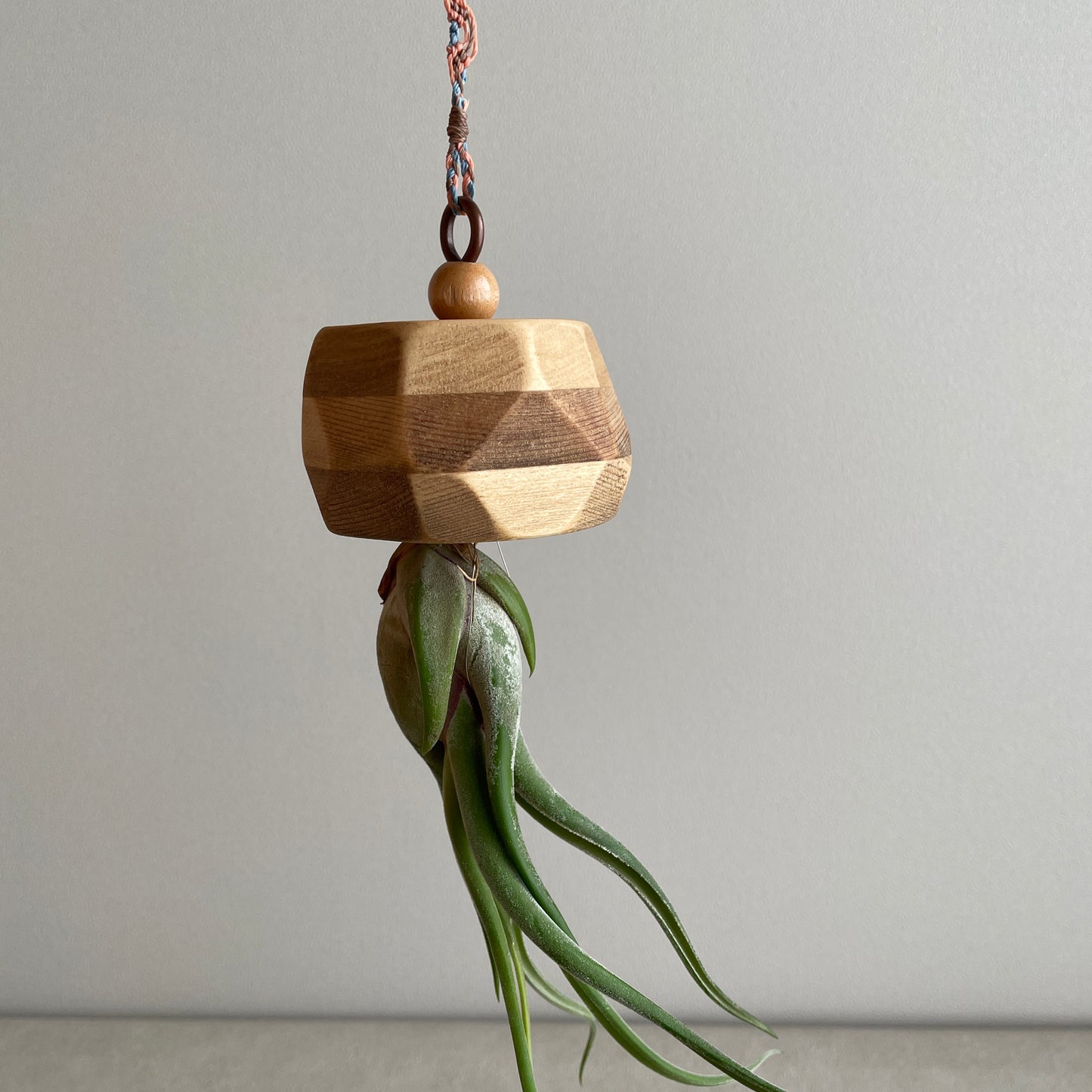 Alien_エイリアン