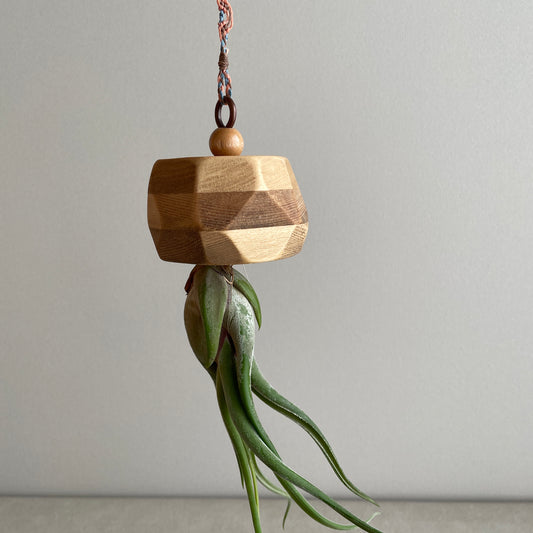 Alien_エイリアン