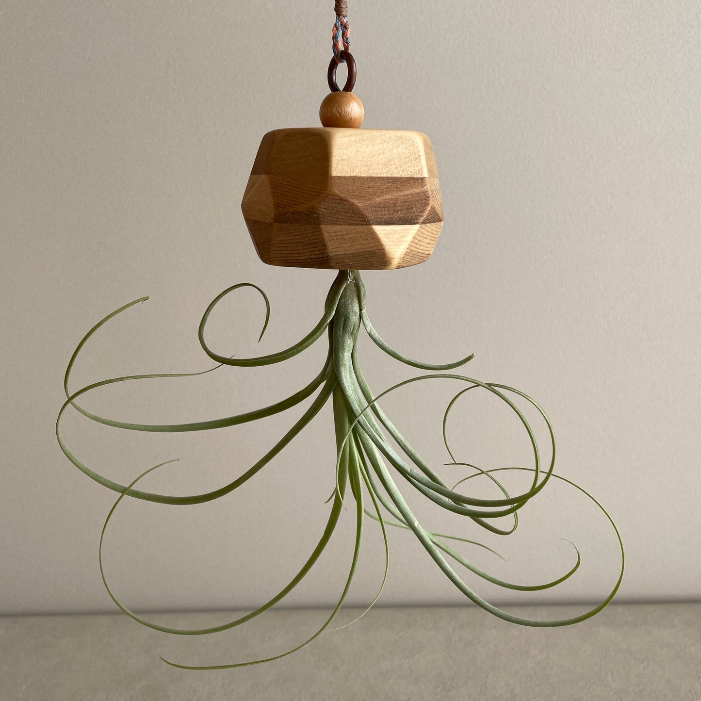 Alien_エイリアン