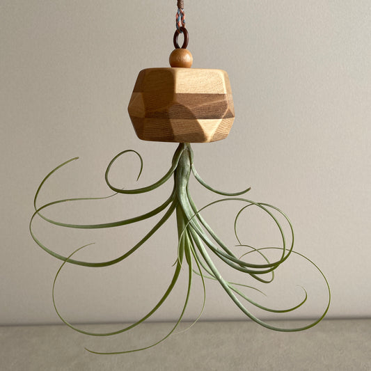 Alien_エイリアン