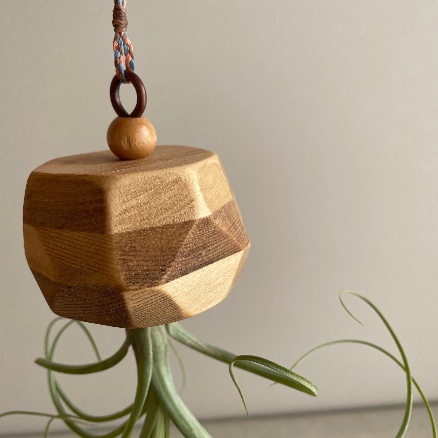 Alien_エイリアン