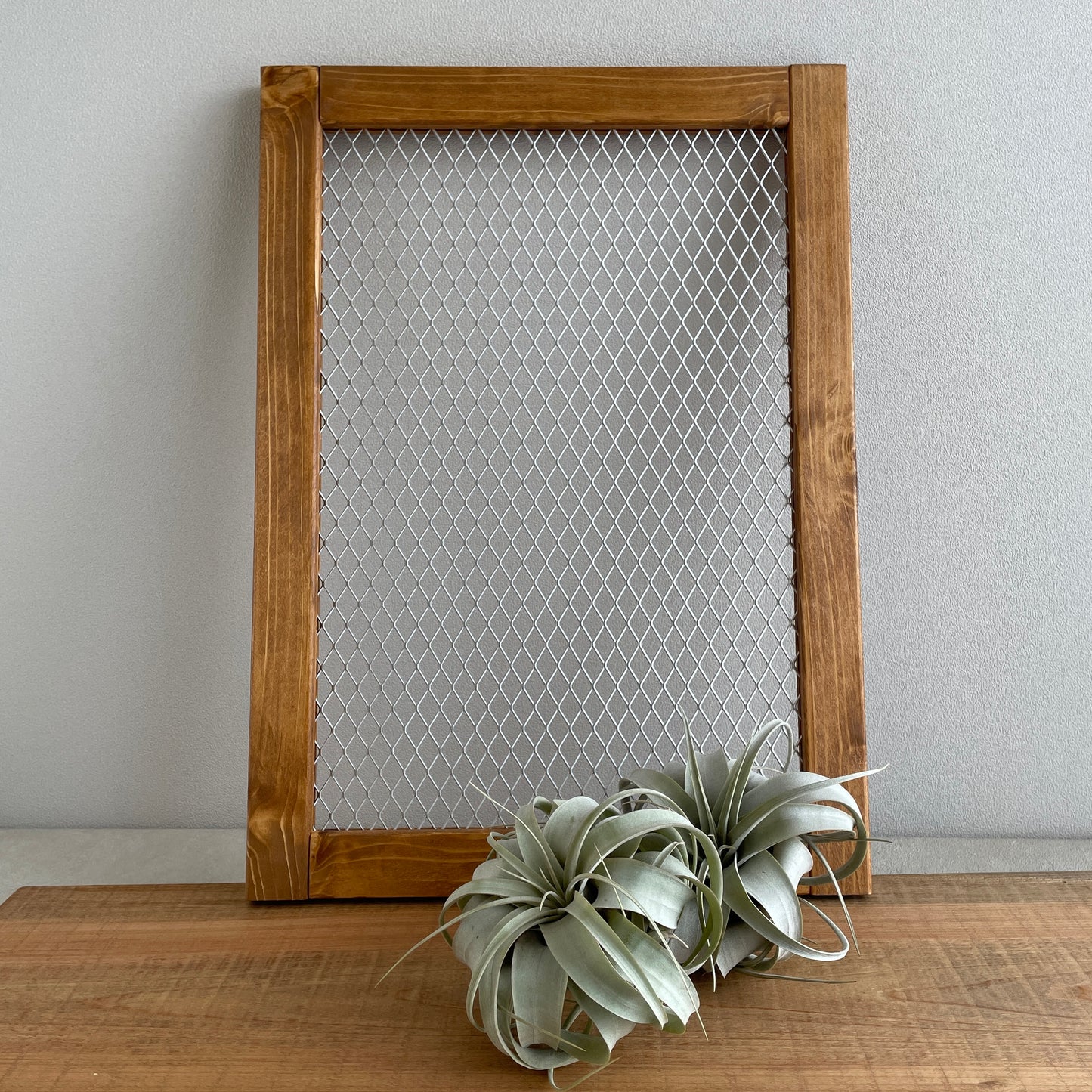 Plant frame_プラントフレーム