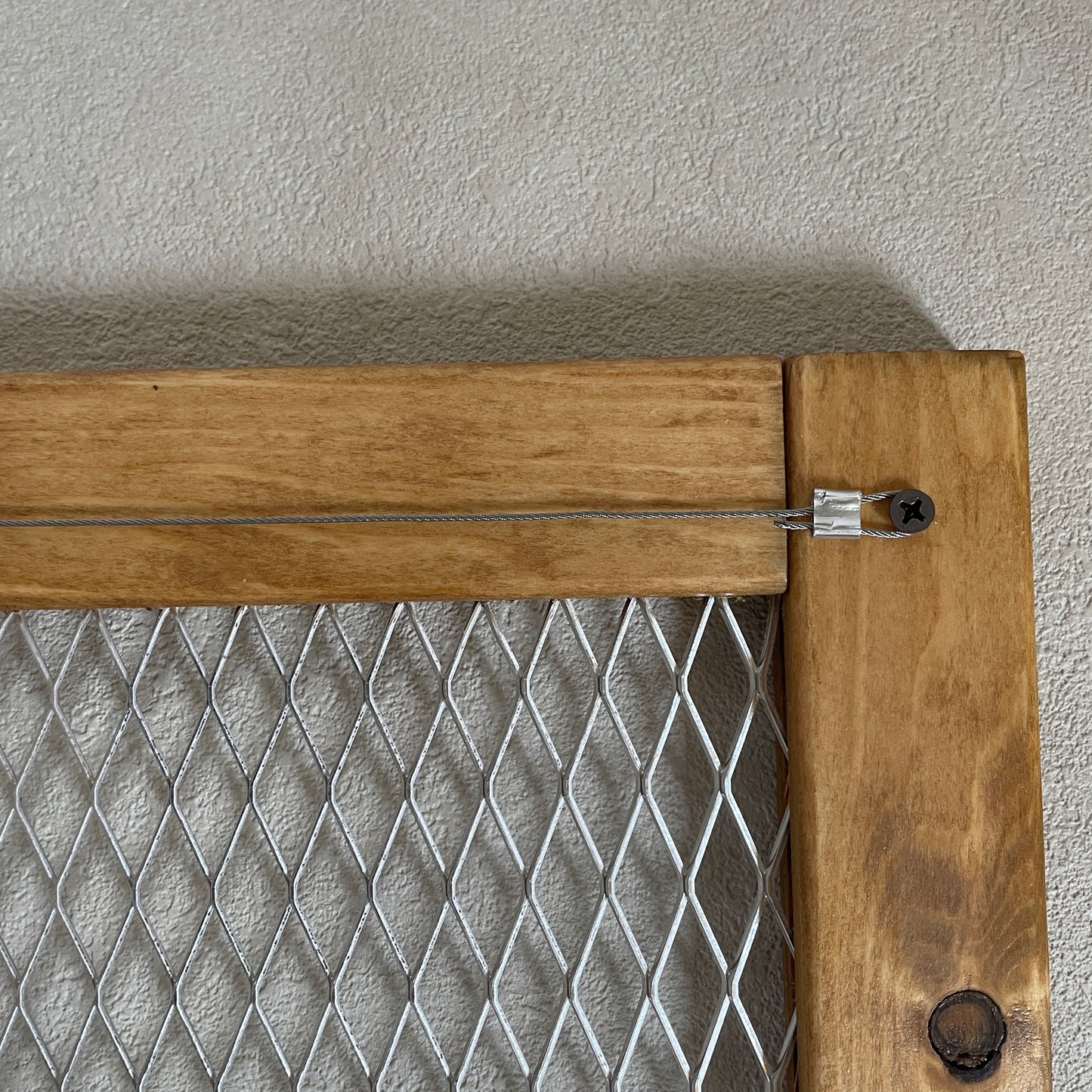 Plant frame_プラントフレーム