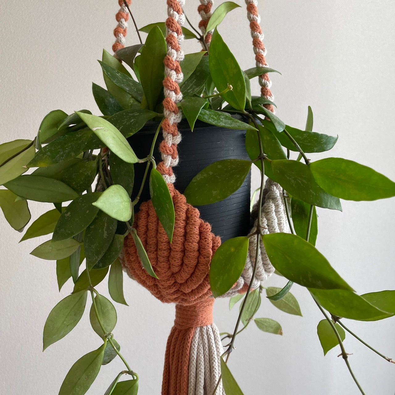 マクラメプラントハンガー_テラコッタ×ベージュ