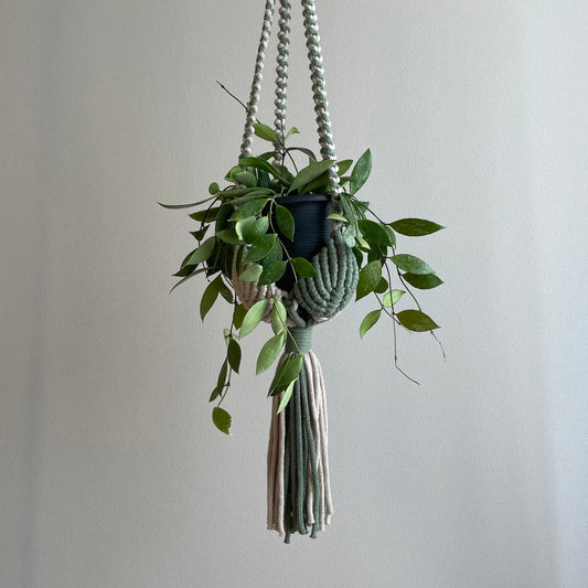 マクラメプラントハンガー _ユーカリグリーン×ベージュ