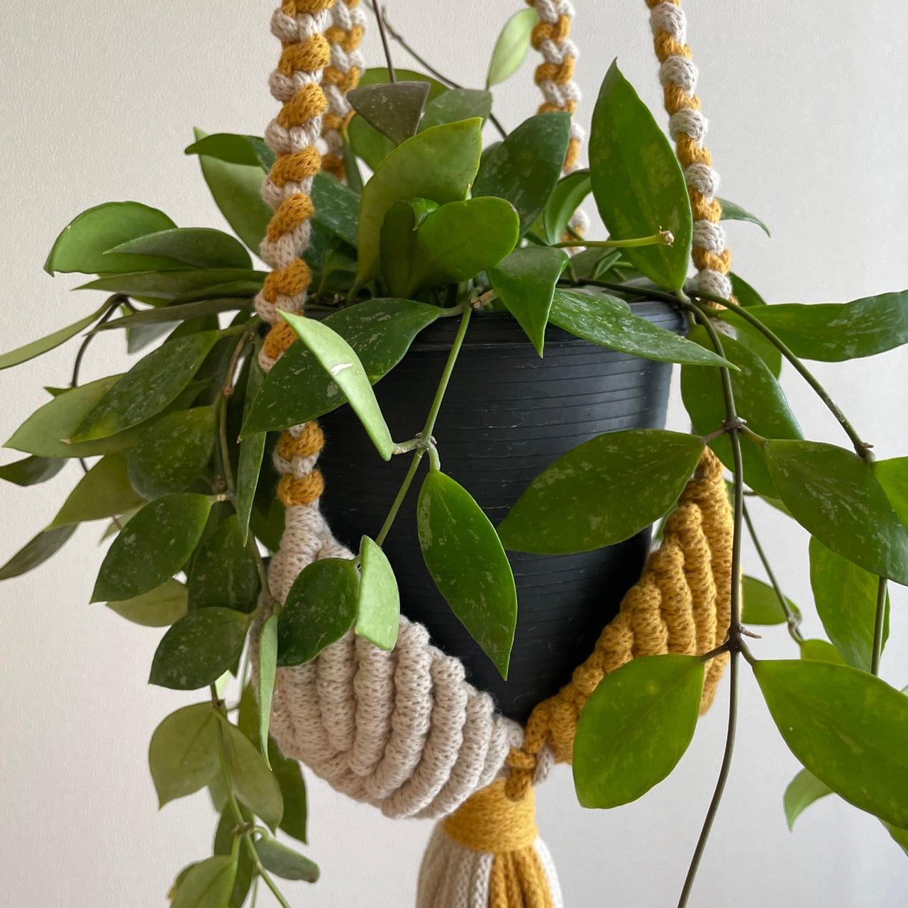 マクラメプラントハンガー _マスタード×ベージュ