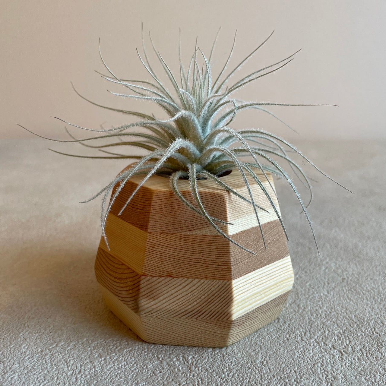 Woodstone_ウッドストーン