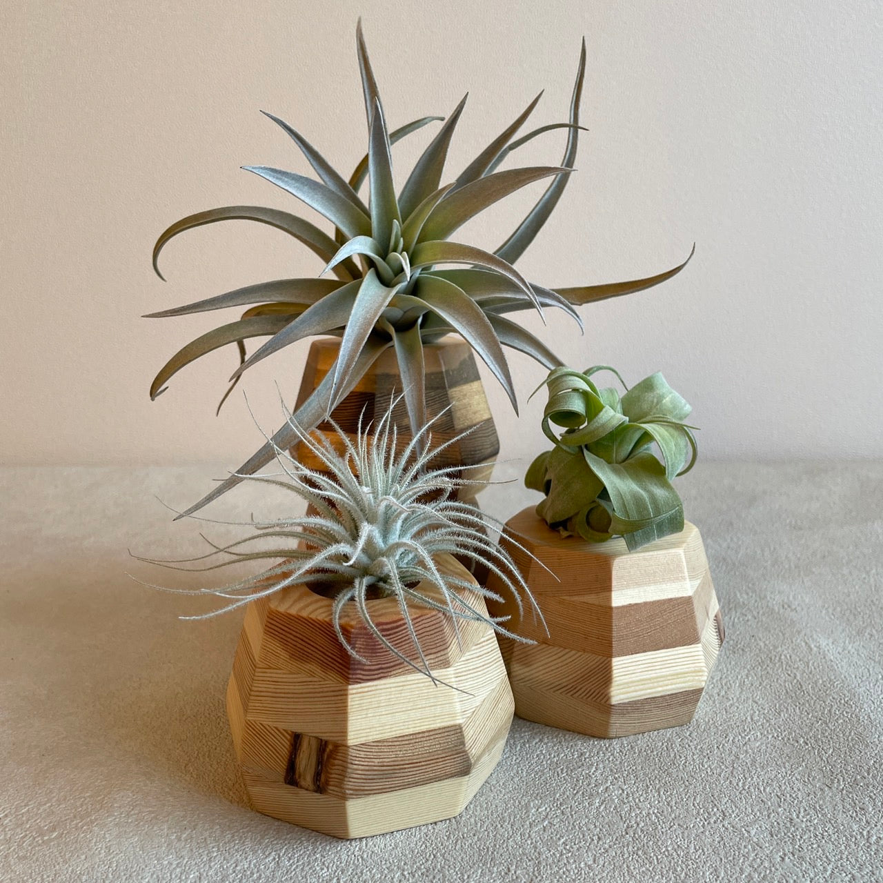 Woodstone_ウッドストーン