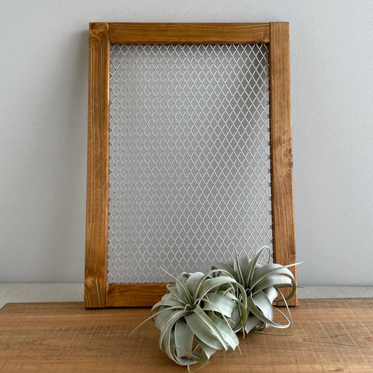 Plant frame_プラントフレーム